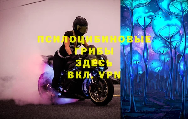ешки Россошь