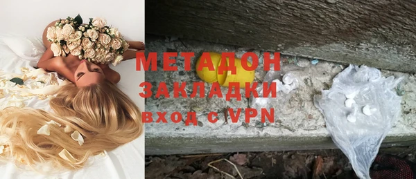 прущие грибы Абинск