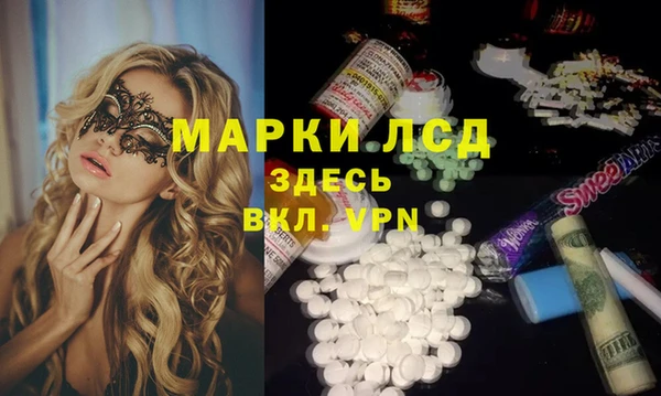 прущие грибы Абинск