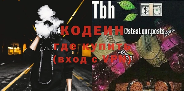 прущие грибы Абинск