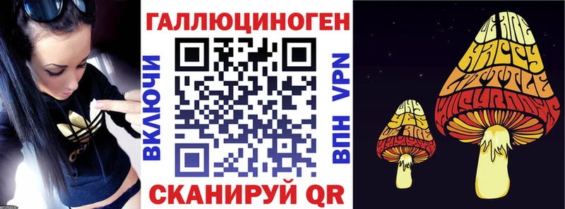 гидра ССЫЛКА  Каменка  Псилоцибиновые грибы Cubensis 